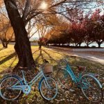 De beste fietsroutes in en rond Enschede