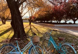 De beste fietsroutes in en rond Enschede