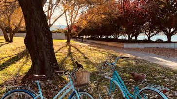 De beste fietsroutes in en rond Enschede